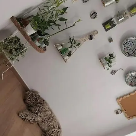 Apartment Inocentes Seville